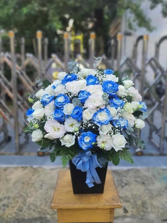 shop hoa tuoi xa vinh thanh